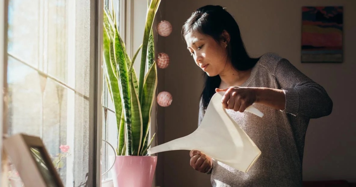 How to help your super grow faster 1200x630